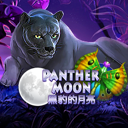 Panther Moon
